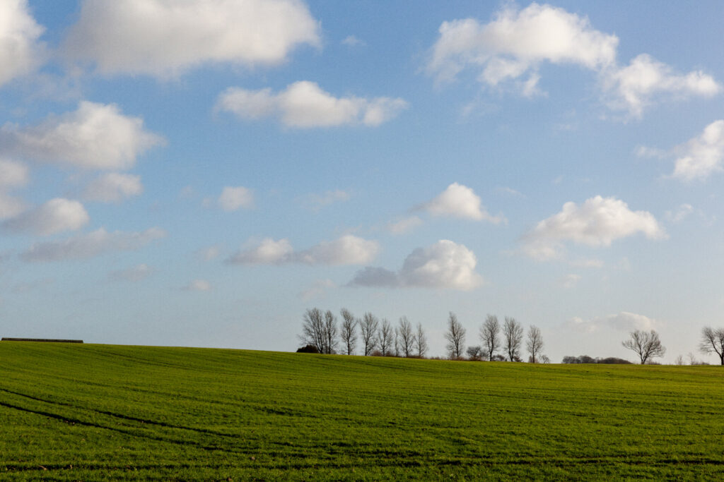 Photograph of a field with trees on the horizon and a sky full of clouds